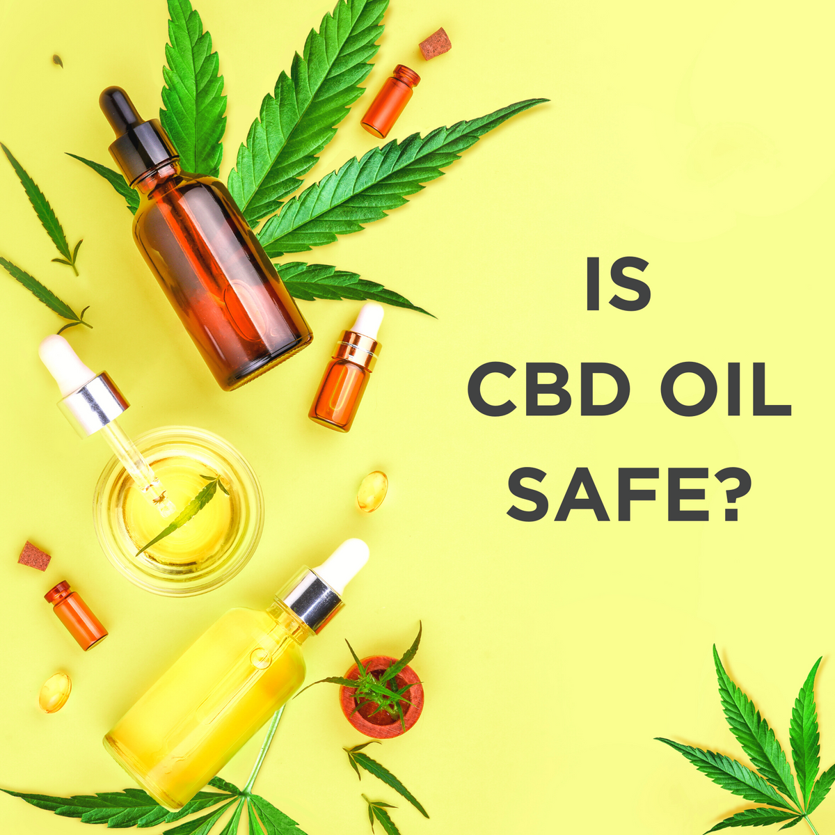 is-cbd-oil-safe-safe-cbd-products-gocbd-usa