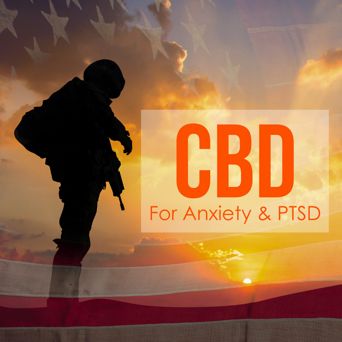 Can CBD Help Veterans with Anxiety & PTSD?